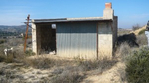 Vendemos Finca con balsa con nectarinas