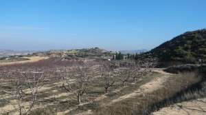 Vendemos Finca con balsa con almacén