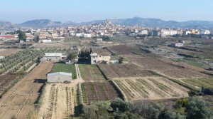 Foto de Finca con balsa con almacén