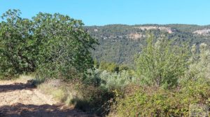 Foto de Finca de olivos centenarios en Fuentespalda. con buenos accesos