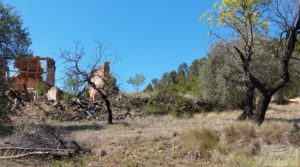 Se vende Finca en Fuentespalda compuesta por bosques, olivos, almendros y frutales. con paisajes únicos por 120.000€