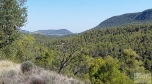 Foto de Finca en Fuentespalda compuesta por bosques, olivos, almendros y frutales. con muy bien comunicado por 120.000€