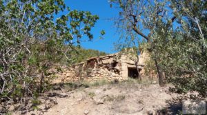 Se vende Finca en Fuentespalda compuesta por bosques, olivos, almendros y frutales. con paisajes únicos por 120.000€