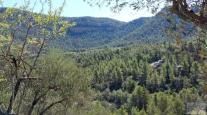 Foto de Finca en Fuentespalda compuesta por bosques, olivos, almendros y frutales. con muy bien comunicado