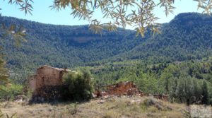 Foto de Finca en Fuentespalda compuesta por bosques, olivos, almendros y frutales. con muy bien comunicado