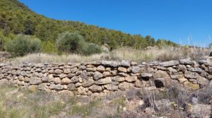 Finca en Fuentespalda compuesta por bosques, olivos, almendros y frutales. para vender con paisajes únicos por 120.000€