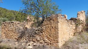 Detalle de Finca en Fuentespalda compuesta por bosques, olivos, almendros y frutales. con muy bien comunicado por 120.000€