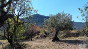 Foto de Finca en Fuentespalda compuesta por bosques, olivos, almendros y frutales. en venta con paisajes únicos