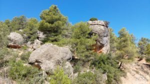 Finca en Fuentespalda compuesta por bosques, olivos, almendros y frutales. para vender con paisajes únicos