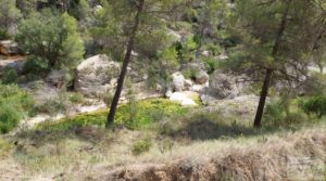 Foto de Finca en Monroyo entre el río Tastavins y Sierra Molinera. en venta con agua de riego por 390.000€