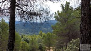 Se vende Finca en Monroyo entre el río Tastavins y Sierra Molinera. con agua de riego