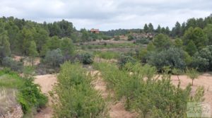 Se vende Finca en Monroyo entre el río Tastavins y Sierra Molinera. con agua de riego