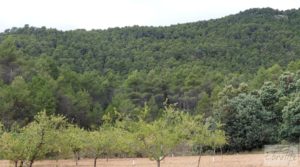 Se vende Finca en Monroyo entre el río Tastavins y Sierra Molinera. con agua de riego por 390.000€