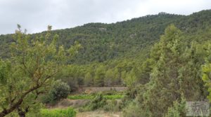 Finca en Monroyo entre el río Tastavins y Sierra Molinera. a buen precio con agua de riego