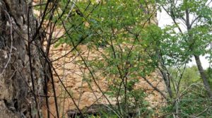 Foto de Finca en Monroyo entre el río Tastavins y Sierra Molinera. con agua de riego