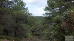 Foto de Finca en Monroyo entre el río Tastavins y Sierra Molinera. con agua de riego por 390.000€