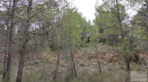 Foto de Finca en Monroyo entre el río Tastavins y Sierra Molinera. en venta con agua de riego por 390.000€