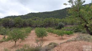 Finca en Monroyo entre el río Tastavins y Sierra Molinera. en oferta con agua de riego por 390.000€