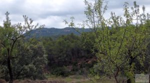 Foto de Finca en Monroyo entre el río Tastavins y Sierra Molinera. en venta con agua de riego