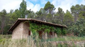 Detalle de Finca en Monroyo entre el río Tastavins y Sierra Molinera. con agua de riego por 390.000€