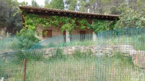 Detalle de Finca en Monroyo entre el río Tastavins y Sierra Molinera. con agua de riego