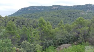 Foto de Finca en Monroyo entre el río Tastavins y Sierra Molinera. en venta con agua de riego