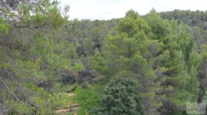 Foto de Finca en Monroyo entre el río Tastavins y Sierra Molinera. en venta con agua de riego