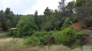 Se vende Finca en Monroyo entre el río Tastavins y Sierra Molinera. con agua de riego