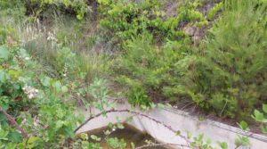 Foto de Finca en Monroyo entre el río Tastavins y Sierra Molinera. con agua de riego