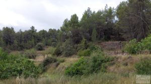 Vendemos Finca en Monroyo entre el río Tastavins y Sierra Molinera. con agua de riego