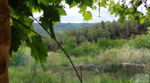 Foto de Finca en Monroyo entre el río Tastavins y Sierra Molinera. en venta con agua de riego