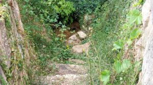 Detalle de Finca en Monroyo entre el río Tastavins y Sierra Molinera. con agua de riego