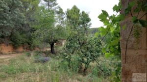 Finca en Monroyo entre el río Tastavins y Sierra Molinera. para vender con agua de riego