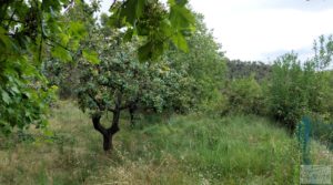 Finca en Monroyo entre el río Tastavins y Sierra Molinera. en venta con agua de riego