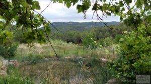 Detalle de Finca en Monroyo entre el río Tastavins y Sierra Molinera. con agua de riego