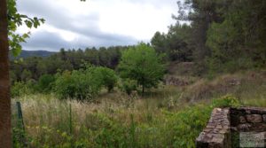 Vendemos Finca en Monroyo entre el río Tastavins y Sierra Molinera. con agua de riego