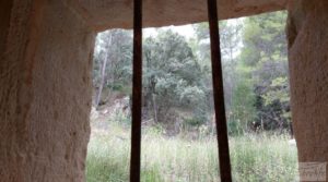 Detalle de Finca en Monroyo entre el río Tastavins y Sierra Molinera. con agua de riego