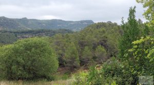 Detalle de Finca en Monroyo entre el río Tastavins y Sierra Molinera. con agua de riego por 390.000€