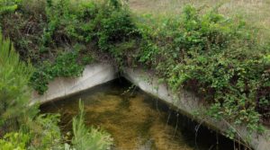 Finca en Monroyo entre el río Tastavins y Sierra Molinera. para vender con agua de riego