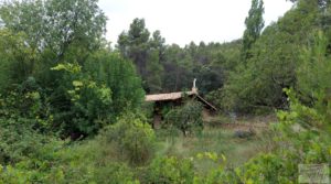 Finca en Monroyo entre el río Tastavins y Sierra Molinera. a buen precio con agua de riego por 390.000€