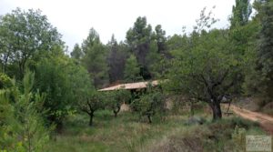 Finca en Monroyo entre el río Tastavins y Sierra Molinera. a buen precio con agua de riego por 390.000€