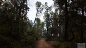 Vendemos Finca en Monroyo entre el río Tastavins y Sierra Molinera. con agua de riego