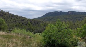 Finca en Monroyo entre el río Tastavins y Sierra Molinera. para vender con agua de riego por 390.000€