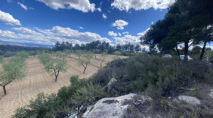 Finca de olivos y almendros con vivienda de obra nueva en Arens de Lledó. a buen precio con piscina modular