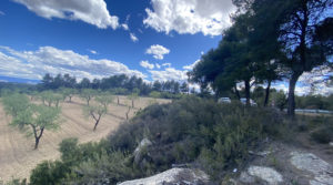 Foto de Finca de olivos y almendros con vivienda de obra nueva en Arens de Lledó. con depuradora de aguas residuales