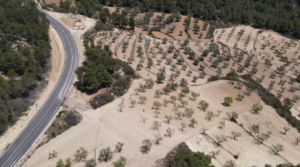 Foto de Finca de olivos y almendros con vivienda de obra nueva en Arens de Lledó. con placas solares fotovoltaicas por 270.000€