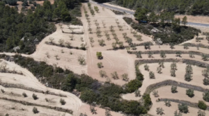 Foto de Finca de olivos y almendros con vivienda de obra nueva en Arens de Lledó. con depuradora de aguas residuales