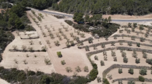 Finca de olivos y almendros con vivienda de obra nueva en Arens de Lledó. para vender con placas solares fotovoltaicas