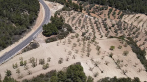 Foto de Finca de olivos y almendros con vivienda de obra nueva en Arens de Lledó. en venta con calefacción de pellets por 270.000€