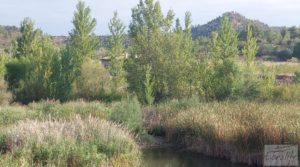 Foto de Finca de regadío en Caseras con casa y masía tradicional. con piscina por 190.000€